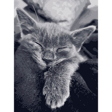 Картина за номерами ARTCRAFT Котяча подяка 40 x 50 см (11612-AC)