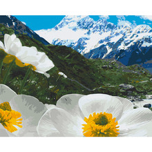 Картина по номерам ARTCRAFT Альпийские маки 40 x 50 см (10564-AC)
