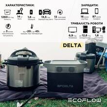 Зарядная станция ECOFLOW Delta (EFDELTA1300-EU)