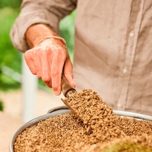 Субстрат COMPO BIO GRANUPLANT для комнатных растений 6 л (8818)