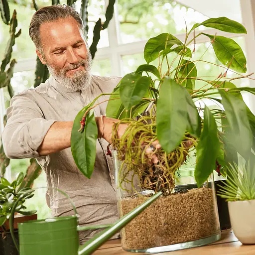 Фото Субстрат COMPO BIO GRANUPLANT для комнатных растений 6 л (8818)