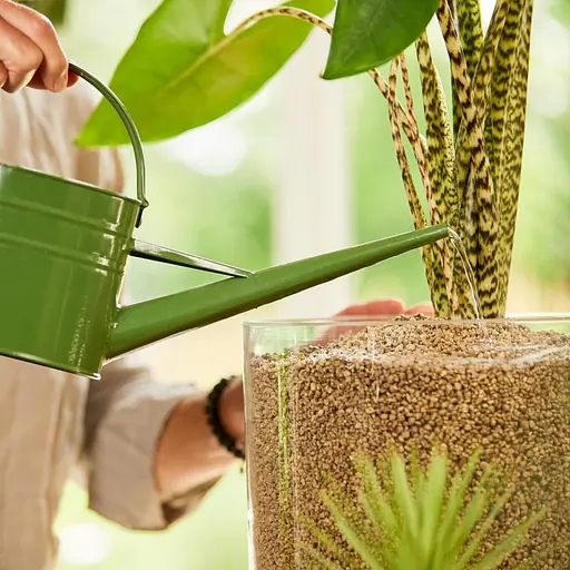 Заказать Субстрат COMPO BIO GRANUPLANT для комнатных растений 6 л (8818)