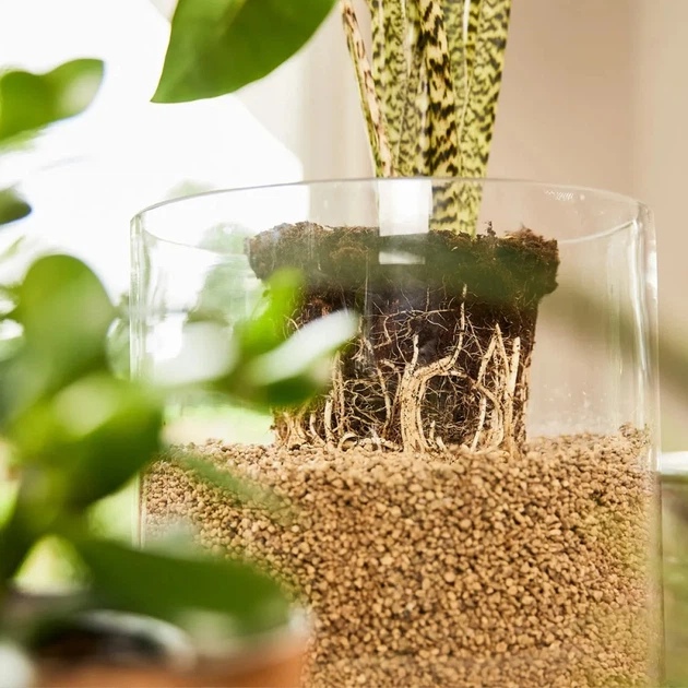 Субстрат COMPO BIO GRANUPLANT для комнатных растений 6 л (8818) Форма гранулы