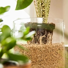 Субстрат COMPO BIO GRANUPLANT для комнатных растений 6 л (8818)