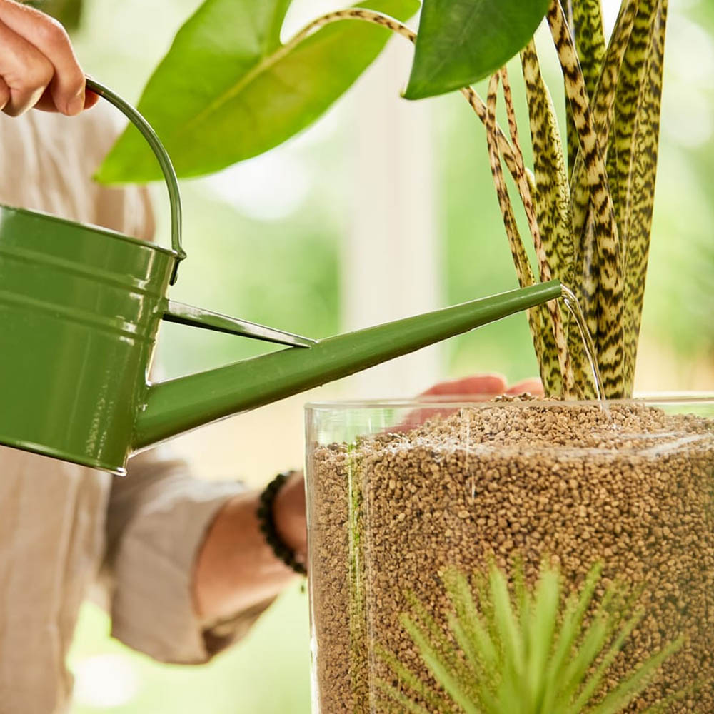 Жидкое удорение COMPO BIO GRANUPLANT для растений в гранулированном субстрате 0,5л (3777) Тип удобрения