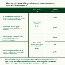 Тверде добриво COMPO TURBO Прискорення росту живоплоту та хвойних рослин 4 кг (2466)