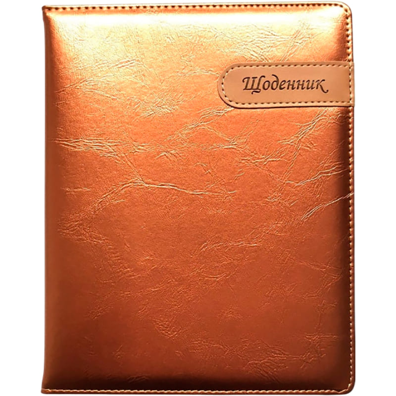 Дневник BOURGEOIS SD1537 48 листов (ДН901)