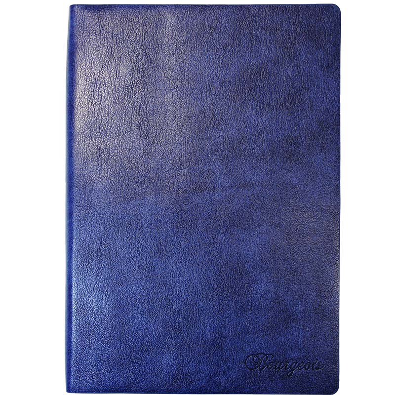 Ежедневник BOURGEOIS A5 320 листов Blue (ДН396/3)