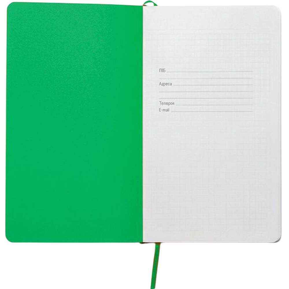 Блокнот BERGANOTE А5 Alanis 128 листов White/Green (50040638-04) Цвет обложки белый