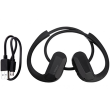 Гарнитура SIGMA HEADSET X-MUSIC H21 RAIN black (4827798636541)