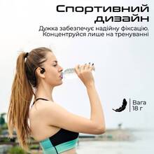 Гарнітура HIFUTURE FutureMate Black Grey\White