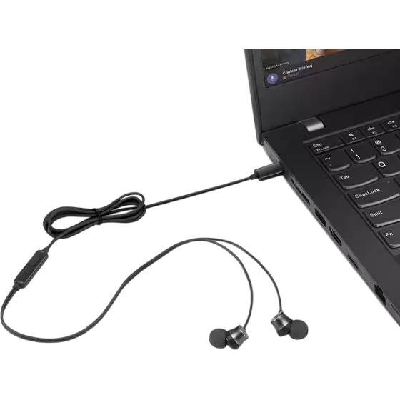 Гарнитура LENOVO USB-C Wired In-Ear Headphone (4XD1J77351) Крепление без крепления