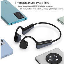 Гарнитура LANGSDOM BS17 Black