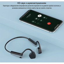 Гарнитура LANGSDOM BS17 Black