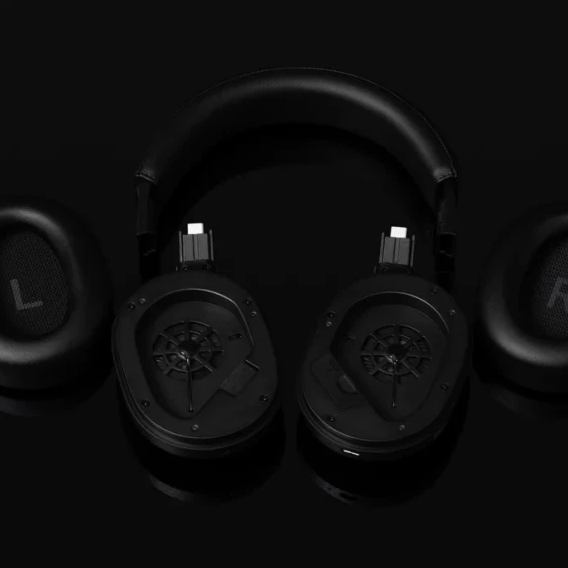 Покупка Гарнітура FINAL AUDIO UX5000 Black (90404189)