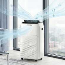 Кондиционер HYUNDAI HPAC12UA3WF (0101170007-100446826)