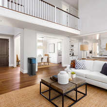 Увлажнитель воздуха TROTEC PAE 50 (1210003020)