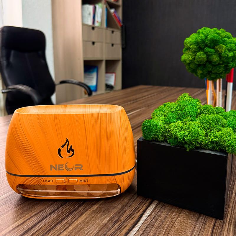 Заказать Увлажнитель воздуха NEOR FLAME AROMA 20ML6 TN