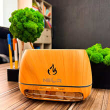 Увлажнитель воздуха NEOR FLAME AROMA 20ML6 TN