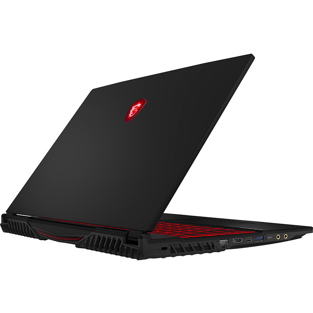 Ноутбук MSI GL65-9SE Black (GL659SE-258XUA) Тип матрицы IPS