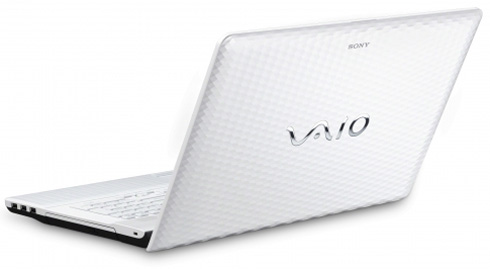 Ноутбук SONY VAIO VPC-EL2S1R White Роздільна здатність дисплея 1366 х 768