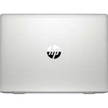 Ноутбук HP ProBook 445R G6 Pike Silver (7HW15AV_V4)