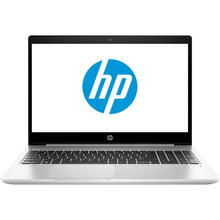 Ноутбук HP ProBook 450 G7 Pike Silver (6YY22AV_V4)