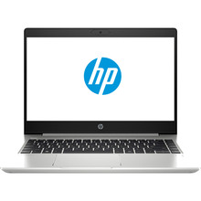 Ноутбук HP Probook 445 G7 Pike Silver (1F3L0EA)
