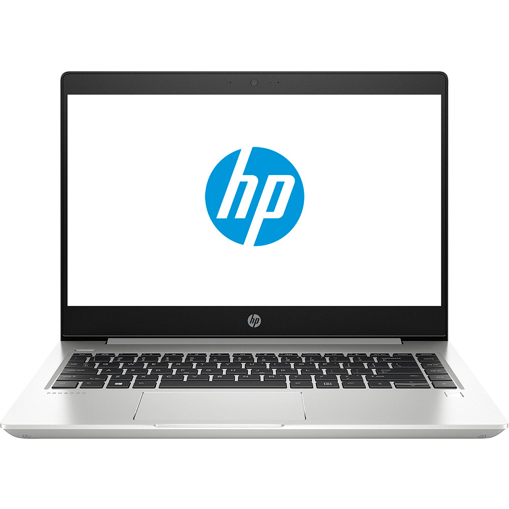 Ноутбук HP ProBook 445 G7 Pike Silver (7RX17AV_V6)