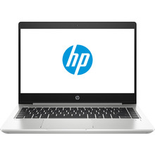 Ноутбук HP ProBook 445 G7 Pike Silver (7RX17AV_V6)