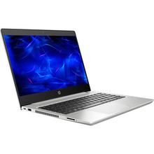 Ноутбук HP ProBook 445 G7 Pike Silver (7RX17AV_V6)