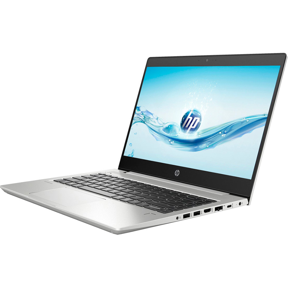 Ноутбук HP ProBook 445 G7 Pike Silver (7RX17AV_V6) Разрешение дисплея 1920 x 1080
