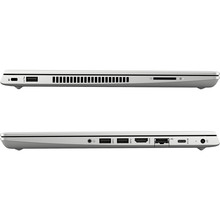 Ноутбук HP ProBook 445 G7 Pike Silver (7RX17AV_V6)