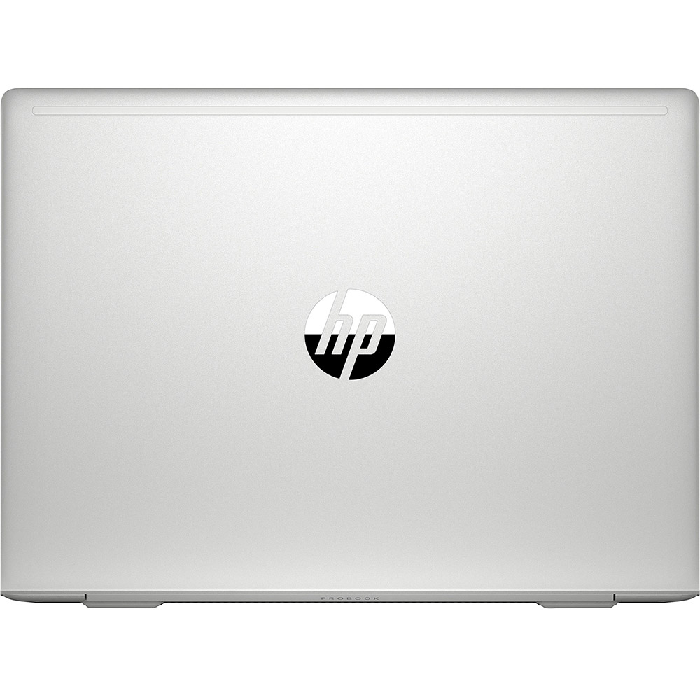 Внешний вид Ноутбук HP ProBook 445 G7 Pike Silver (7RX17AV_V6)