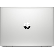 Ноутбук HP ProBook 445 G7 Pike Silver (7RX17AV_V6)