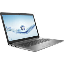 Ноутбук HP 470 G7 Asteroid Silver (8FY75AV_V9)