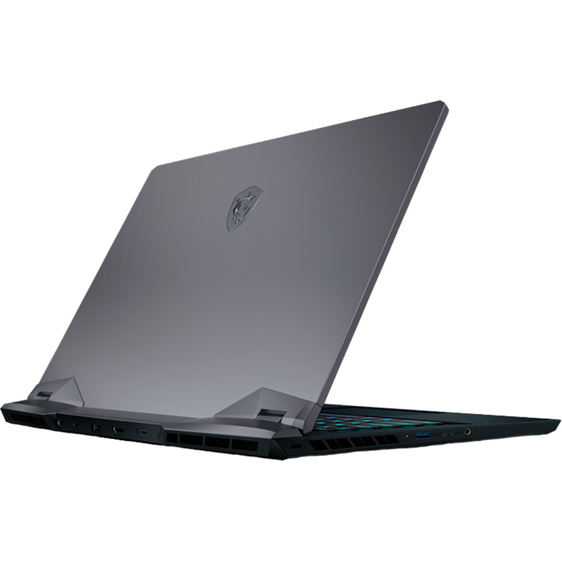 Ноутбук MSI Raider GE66-11UH Black (GE6611UH-419UA) Тип матриці IPS