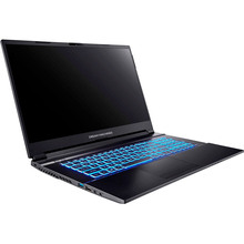 Ноутбук DREAM MACHINES G1650-17 Black (G1650-17UA76)