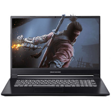Ноутбук DREAM MACHINES G1650-17 Black (G1650-17UA76)