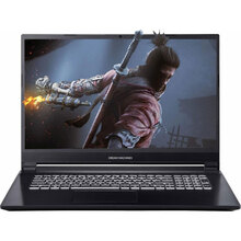 Ноутбук DREAM MACHINES G1650-17 Black (G1650-17UA73)
