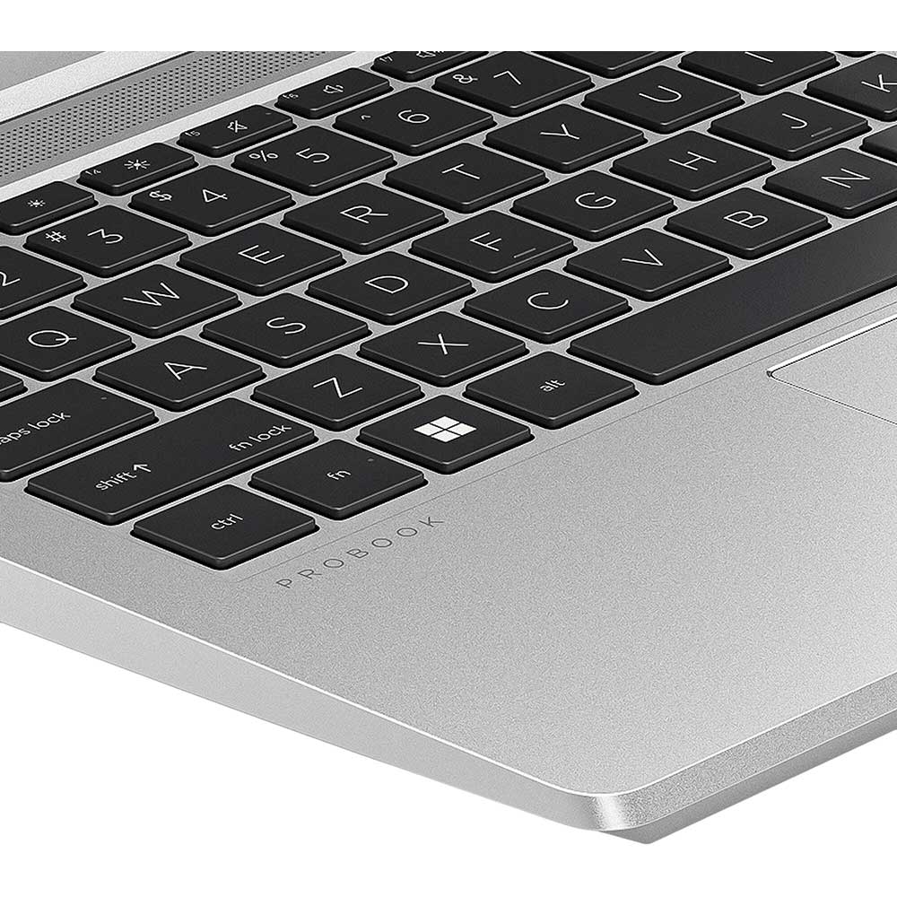 Покупка Ноутбук HP ProBook 445 G10 Silver (70Z74AV_V5)