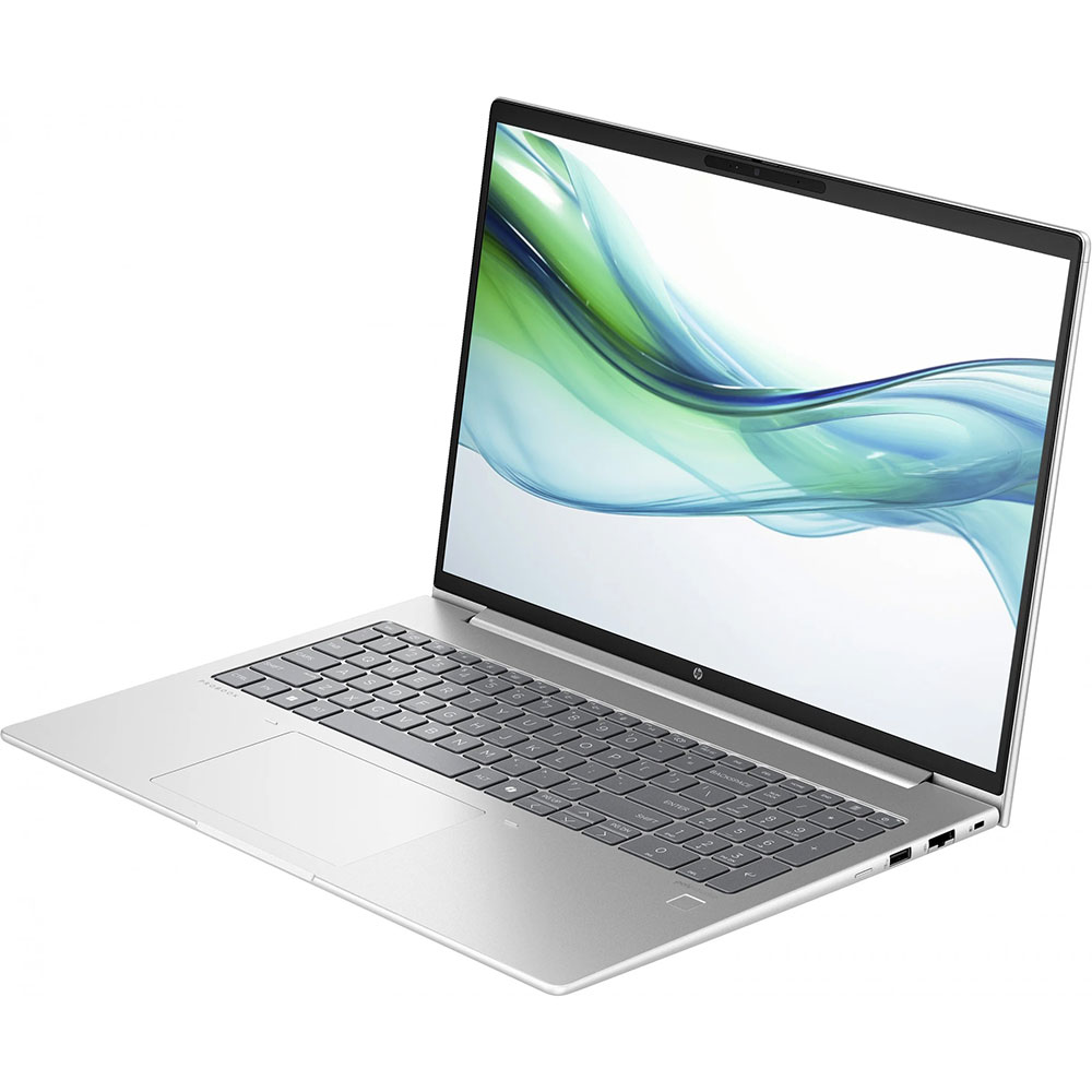 Ноутбук HP ProBook 460 G11 Silver (8Z680AV_V2) Диагональ дисплея 16