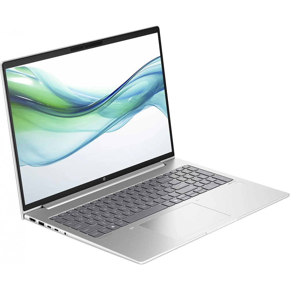 Ноутбук HP ProBook 460 G11 Silver (8Z680AV_V2) Разрешение дисплея 1920 x 1200