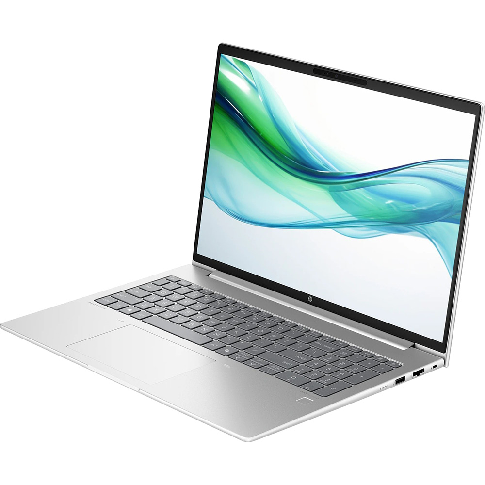 Ноутбук HP ProBook 460 G11 (8Z677AV_V2) Разрешение дисплея 1920 x 1200