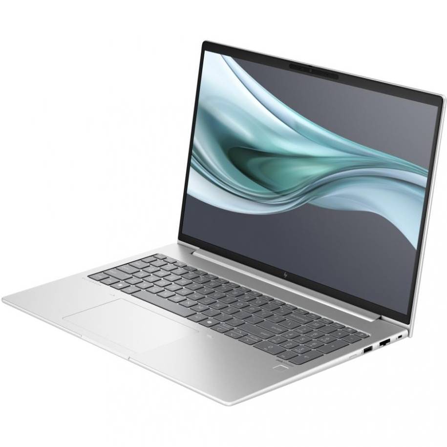 Ноутбук HP EliteBook 660 G11 Natural Silver (902D8AV_V2) Роздільна здатність дисплея 1920 x 1200