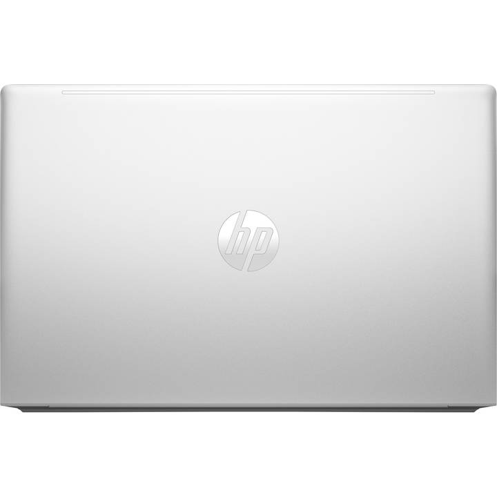 Ноутбук HP Probook 455-G10 Pike Silver Aluminum (9G2S2ET) Частота оновлення екрана 60 Гц