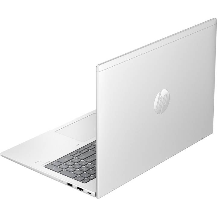 Ноутбук HP Probook 460-G11 Pike Silver (9Y7B8ET) Тип матрицы IPS