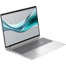 Ноутбук HP EliteBook 665 G11 Silver (8Z719AV_V1)