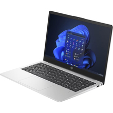 Ноутбук HP 245-G10 Turbo Silver (A3DU5ES)