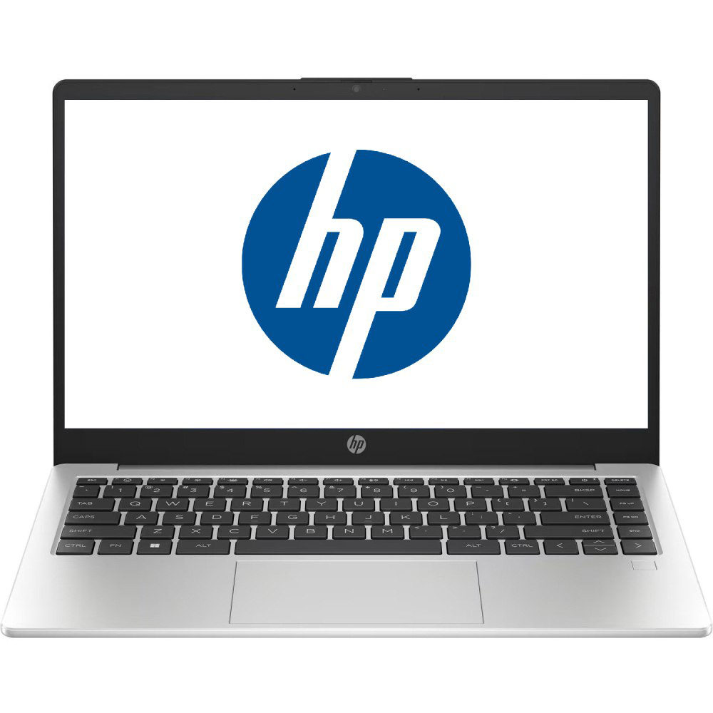 Ноутбук HP 245-G10 Turbo Silver (A3DU4ES)